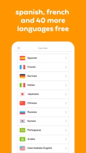 Duolingo: Language Lessons 1